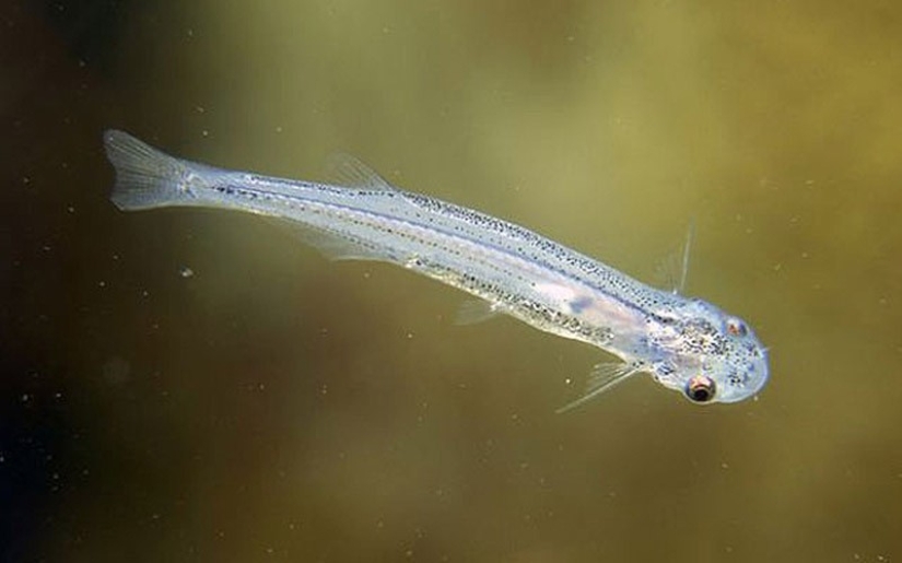 Facts that will make you afraid of everyday things Facts that will make you afraid of everyday things