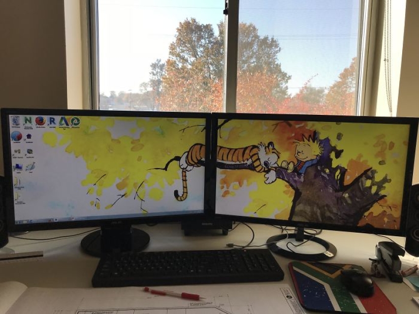 Fantastic ideas for desktop wallpapers so that colleagues turn their necks when passing by