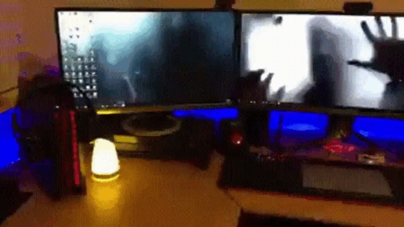 Fantastic ideas for desktop wallpapers so that colleagues turn their necks when passing by