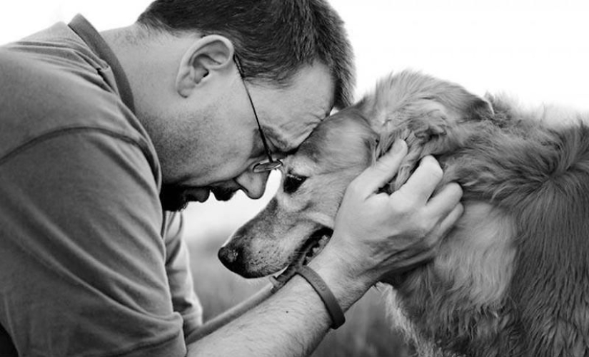 Farewell forever: the photographer captures the last moment of love between the owner and the dog before euthanasia