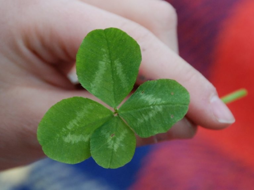 Fascinante historia de 7 supersticiones comunes