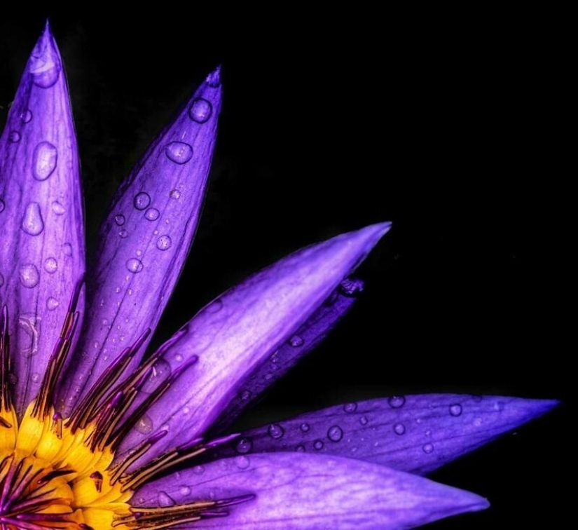 Fascinating water: The 50 best works of the Agora photo contest #Water2020