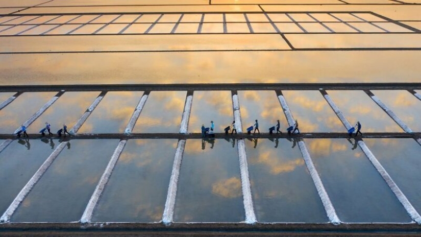 Fascinating water: The 50 best works of the Agora photo contest #Water2020