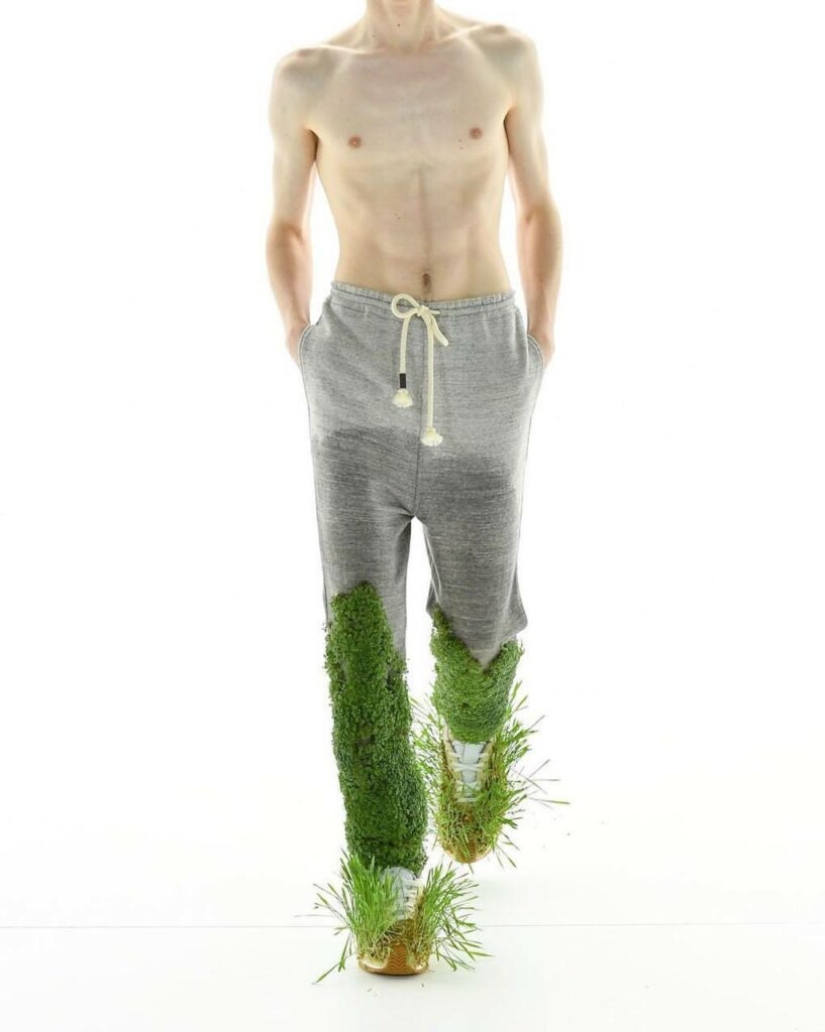 Fashion brand Loewe presented clothes covered with moss and grass Fashion brand Loewe presented clothes covered with moss and grass