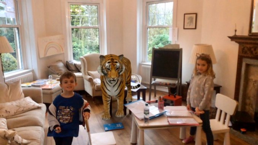 Favorite animals in 3D: Google gives you the opportunity to see the projection of animals in the house