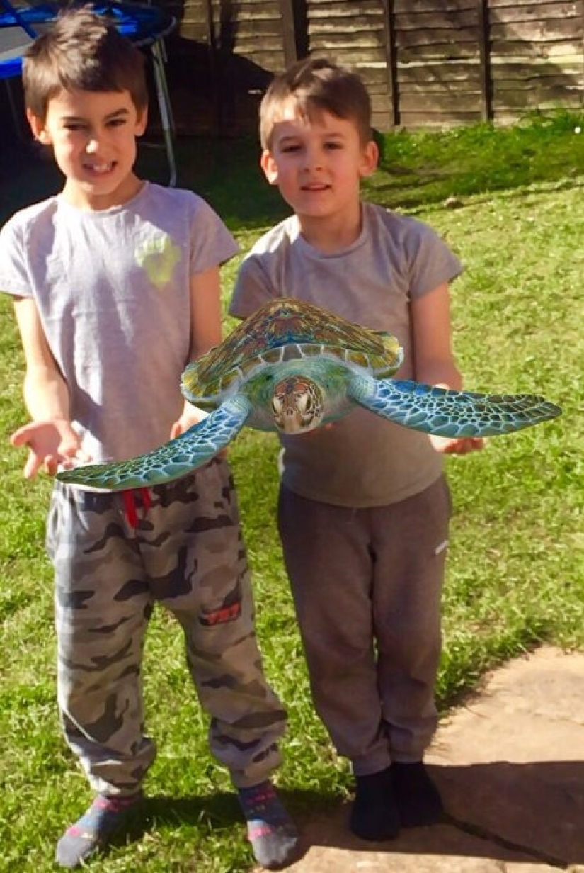 Favorite animals in 3D: Google gives you the opportunity to see the projection of animals in the house