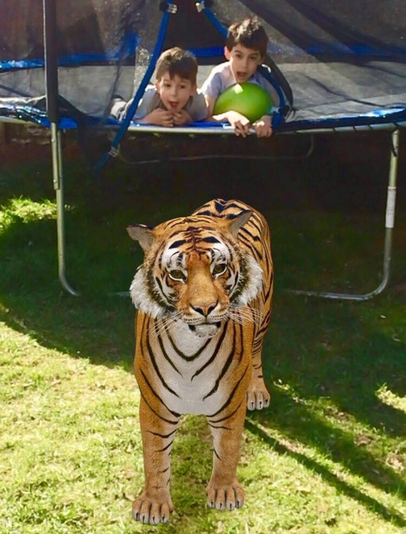 Favorite animals in 3D: Google gives you the opportunity to see the projection of animals in the house Favorite animals in 3D: Google gives you the opportunity to see the projection of animals in the house