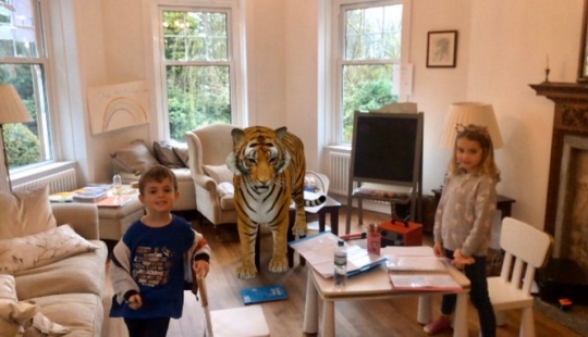 Favorite animals in 3D: Google gives you the opportunity to see the projection of animals in the house