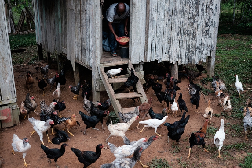 Fábrica de Amor de Amazon