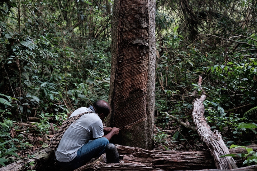 Fábrica de Amor de Amazon