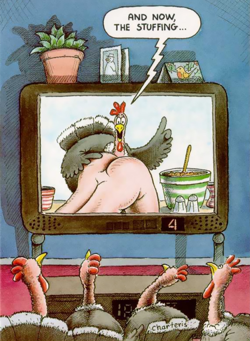 Feel our pain: If animals treated us the same way we treated them