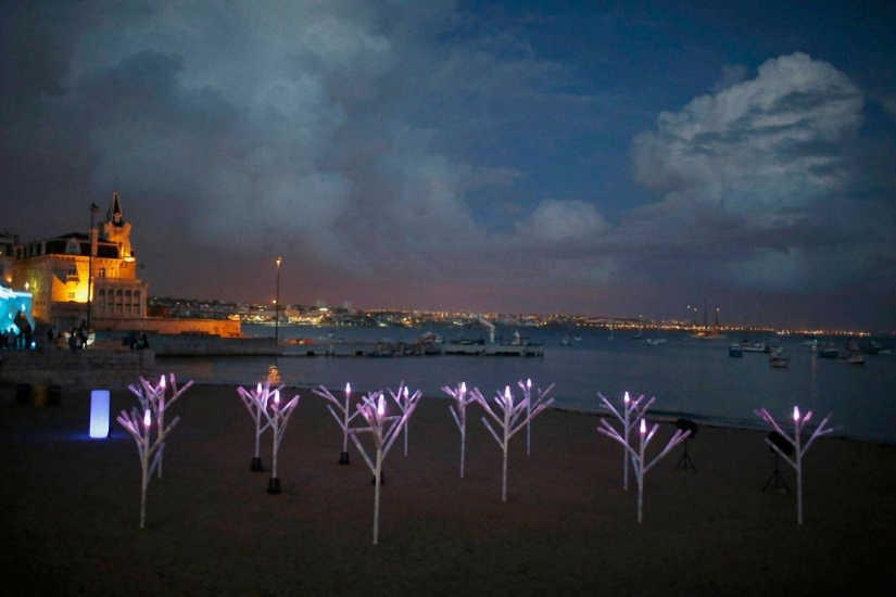 Festival de la Luz Lumina 2014