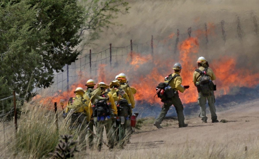 Fiesta de bomberos: un guardia fronterizo estadounidense quemó 18 mil hectáreas de bosque en honor a unas vacaciones familiares