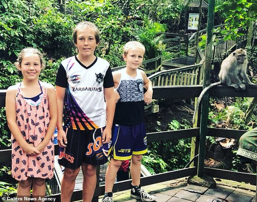 Figs to you, not selfies! A monkey in Bali made an epic shot with tourists herself Figs to you, not selfies! A monkey in Bali made an epic shot with tourists herself