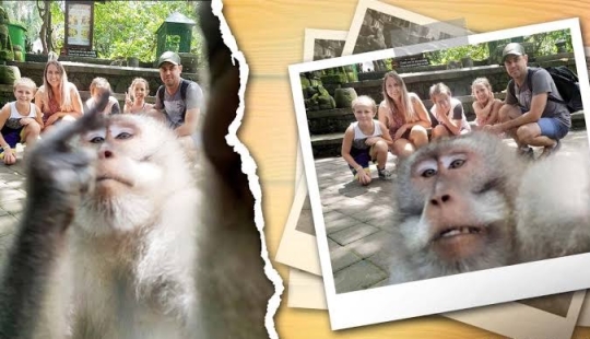 Figs to you, not selfies! A monkey in Bali made an epic shot with tourists herself Figs to you, not selfies! A monkey in Bali made an epic shot with tourists herself