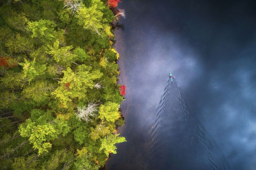 Finalists of the "Best Nature Photographer — 2017" contest from National Geographic