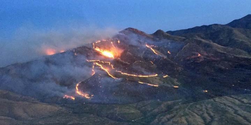 Fire party: an American border guard burned 18 thousand hectares of forest in honor of a family holiday Fire party: an American border guard burned 18 thousand hectares of forest in honor of a family holiday