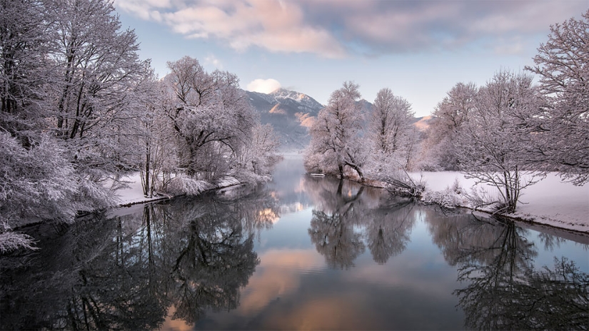 Flickr ha seleccionado las 25 mejores fotos de los usuarios para 2017