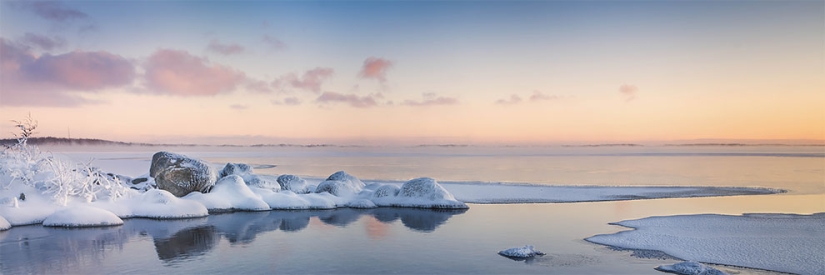 Flickr has selected the 25 best photos from users for 2017