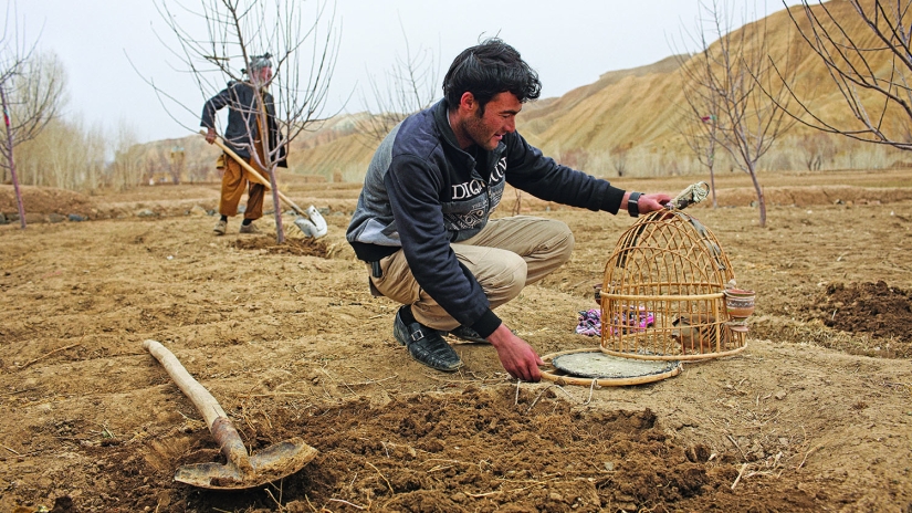 Forbidden Love: A Shakespearean Story with a happy Ending