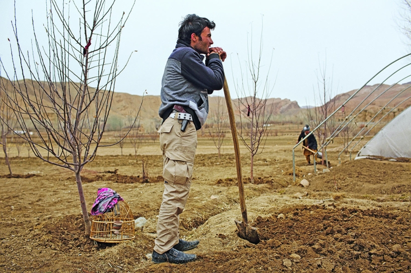 Forbidden Love: A Shakespearean Story with a happy Ending