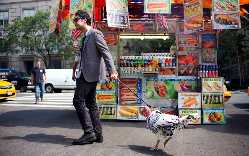 Fotógrafo documenta la belleza de Nueva York