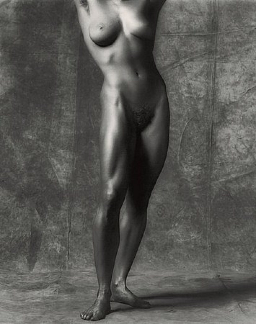 Fotógrafo Robert Mapplethorpe: "Creo arte con pornografía" Fotógrafo Robert Mapplethorpe: "Creo arte con pornografía"