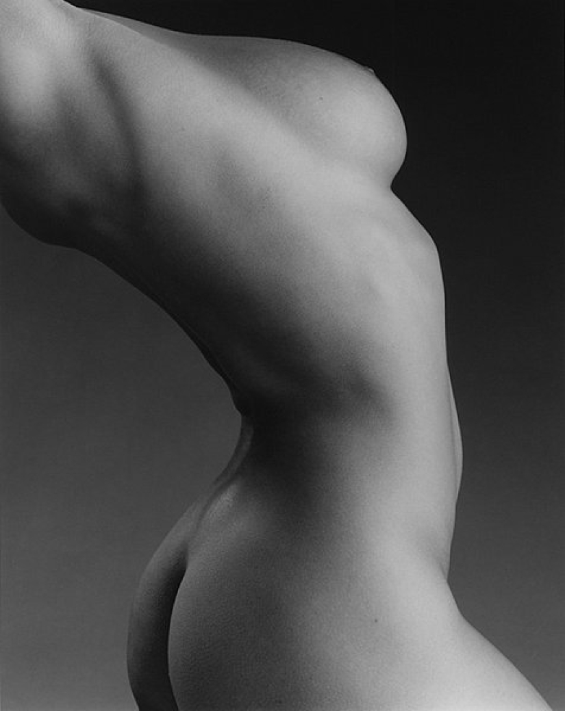 Fotógrafo Robert Mapplethorpe: "Creo arte con pornografía" Fotógrafo Robert Mapplethorpe: "Creo arte con pornografía"