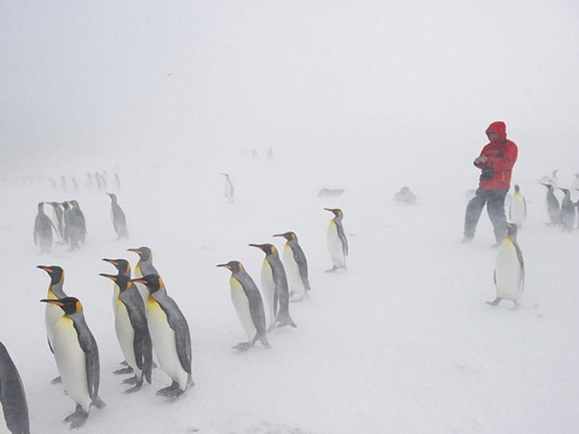 Fotografiando el clima
