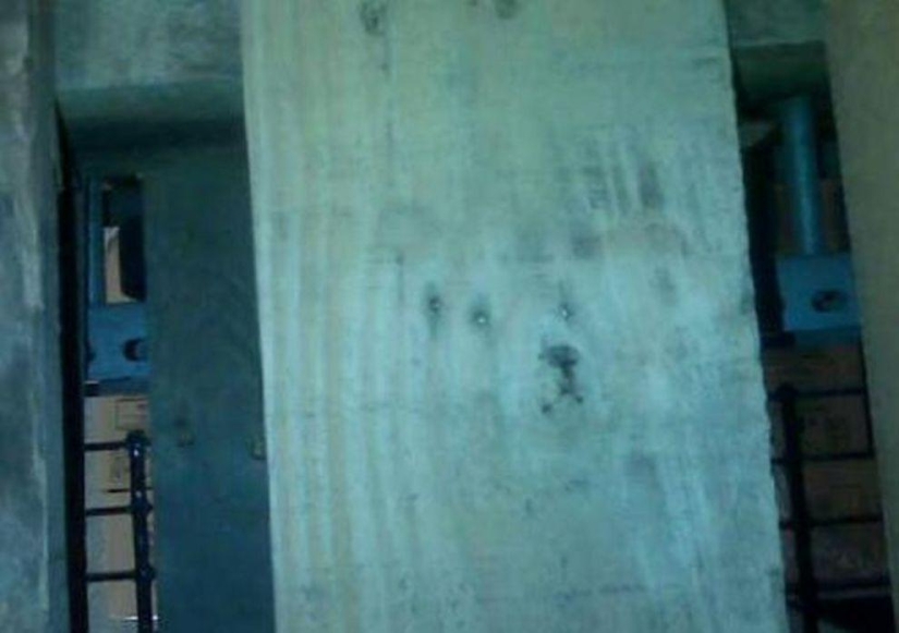 Fotos de cosas increíbles que puedes ver una vez en la vida Fotos de cosas increíbles que puedes ver una vez en la vida