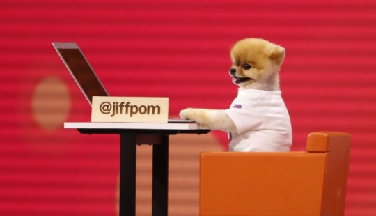 Fotos del Año: Animales Fotos del Año: Animales