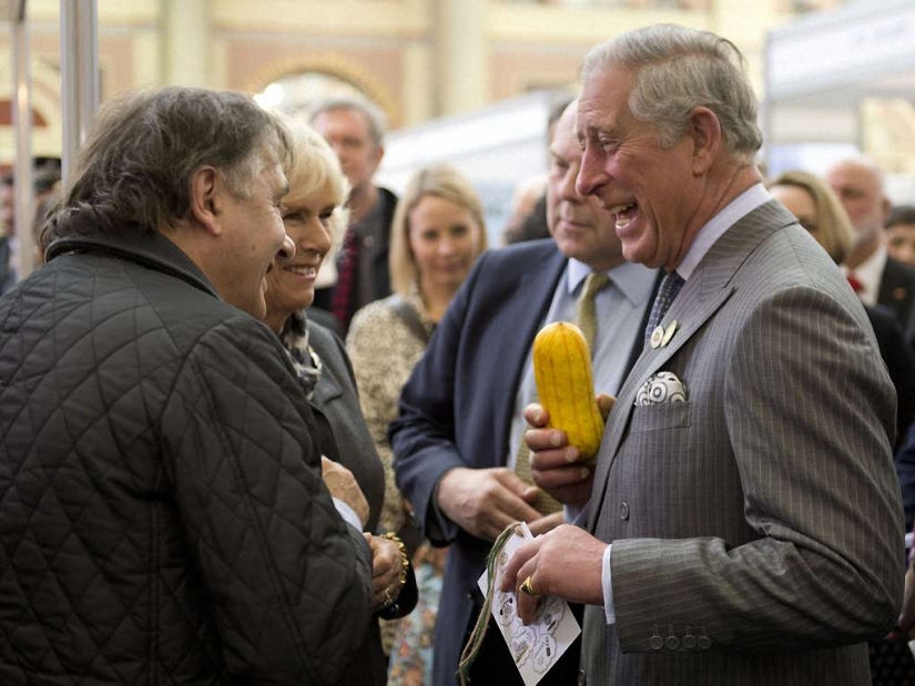 Fotos divertidas de la calle por Nils Jorgensen Fotos divertidas de la calle por Nils Jorgensen