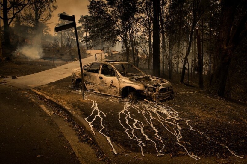 Fotos en lugar de mil palabras: las mejores fotos de World Press Photo 2020, de las que la prensa mundial está orgullosa Fotos en lugar de mil palabras: las mejores fotos de World Press Photo 2020, de las que la prensa mundial está orgullosa