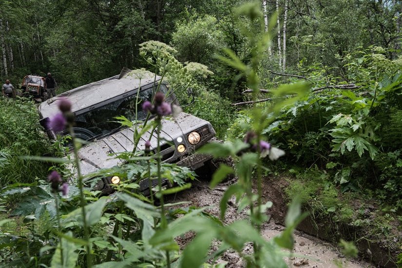 Fotos exclusivas de una exposición cerrada dedicada a la infranqueable Reserva Natural de Tigirek Fotos exclusivas de una exposición cerrada dedicada a la infranqueable Reserva Natural de Tigirek