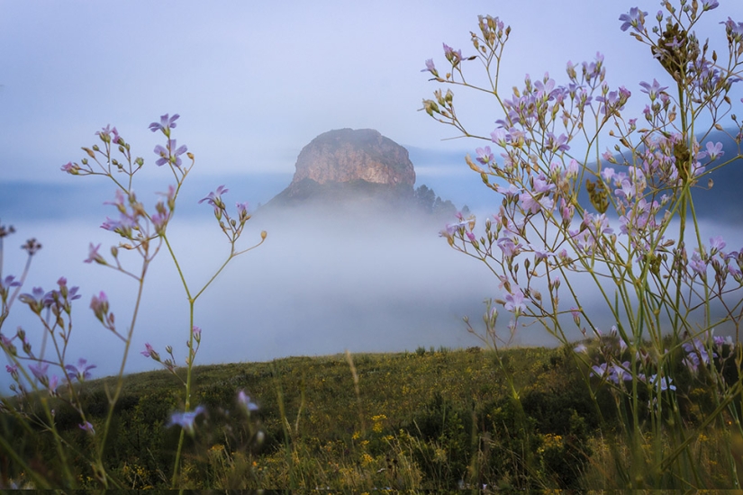 Fotos exclusivas de una exposición cerrada dedicada a la infranqueable Reserva Natural de Tigirek Fotos exclusivas de una exposición cerrada dedicada a la infranqueable Reserva Natural de Tigirek