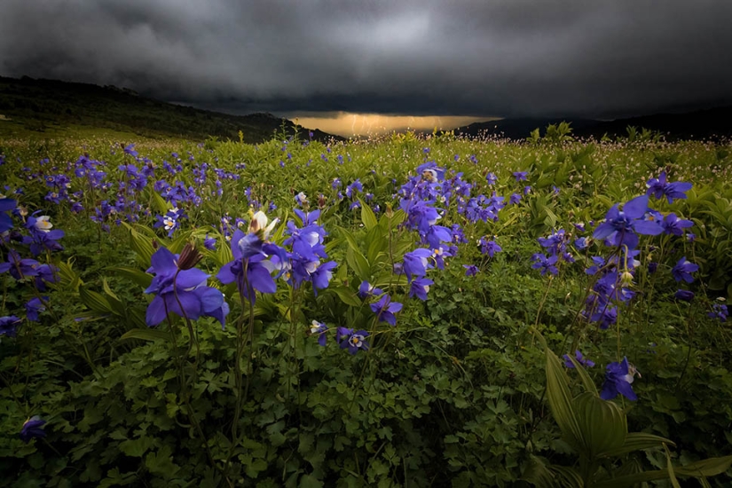 Fotos exclusivas de una exposición cerrada dedicada a la infranqueable Reserva Natural de Tigirek Fotos exclusivas de una exposición cerrada dedicada a la infranqueable Reserva Natural de Tigirek