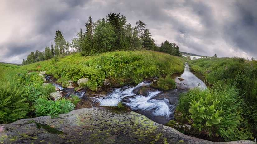 Fotos exclusivas de una exposición cerrada dedicada a la infranqueable Reserva Natural de Tigirek Fotos exclusivas de una exposición cerrada dedicada a la infranqueable Reserva Natural de Tigirek
