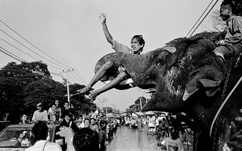 Fotos fuertes sobre la difícil relación de los asiáticos con los elefantes