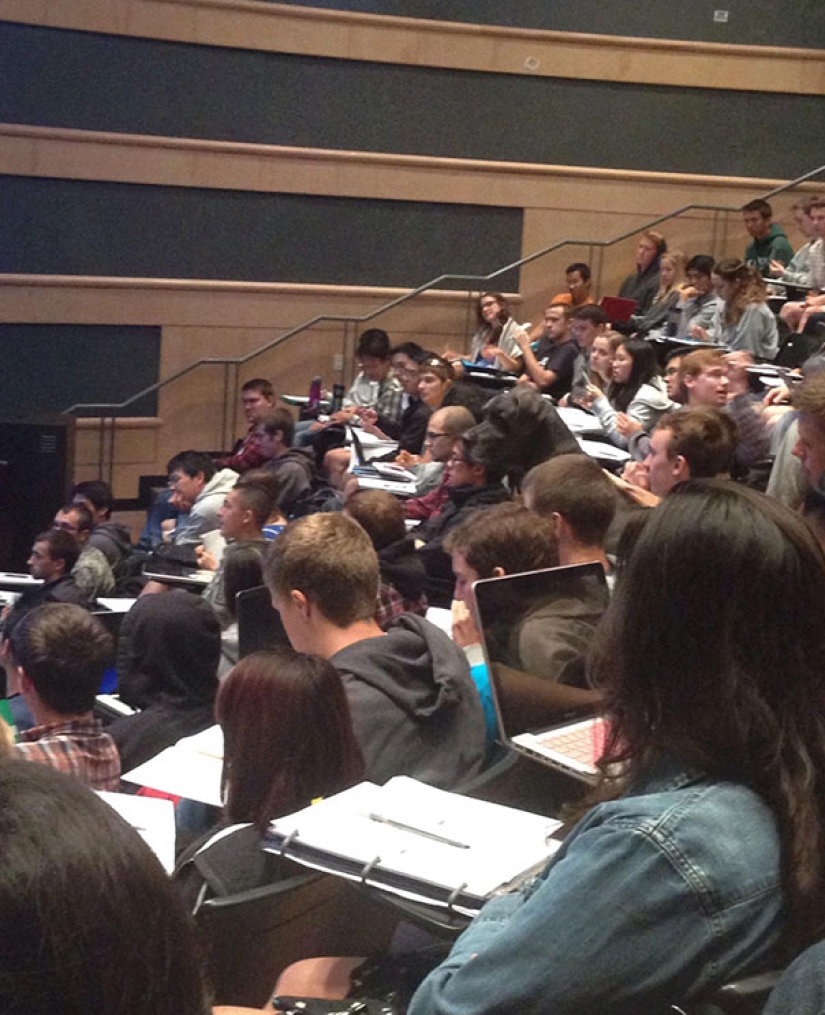 Fotos que te harán llorar si miras de cerca Fotos que te harán llorar si miras de cerca