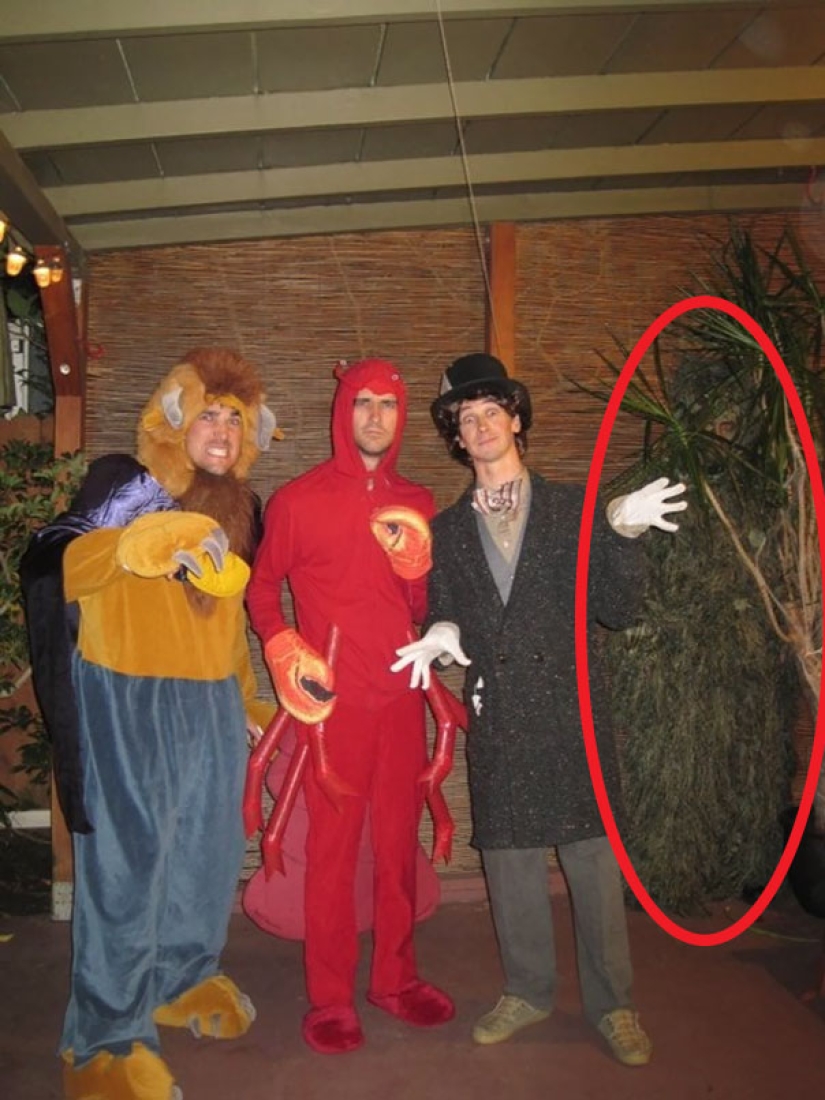 Fotos que te harán llorar si miras de cerca Fotos que te harán llorar si miras de cerca