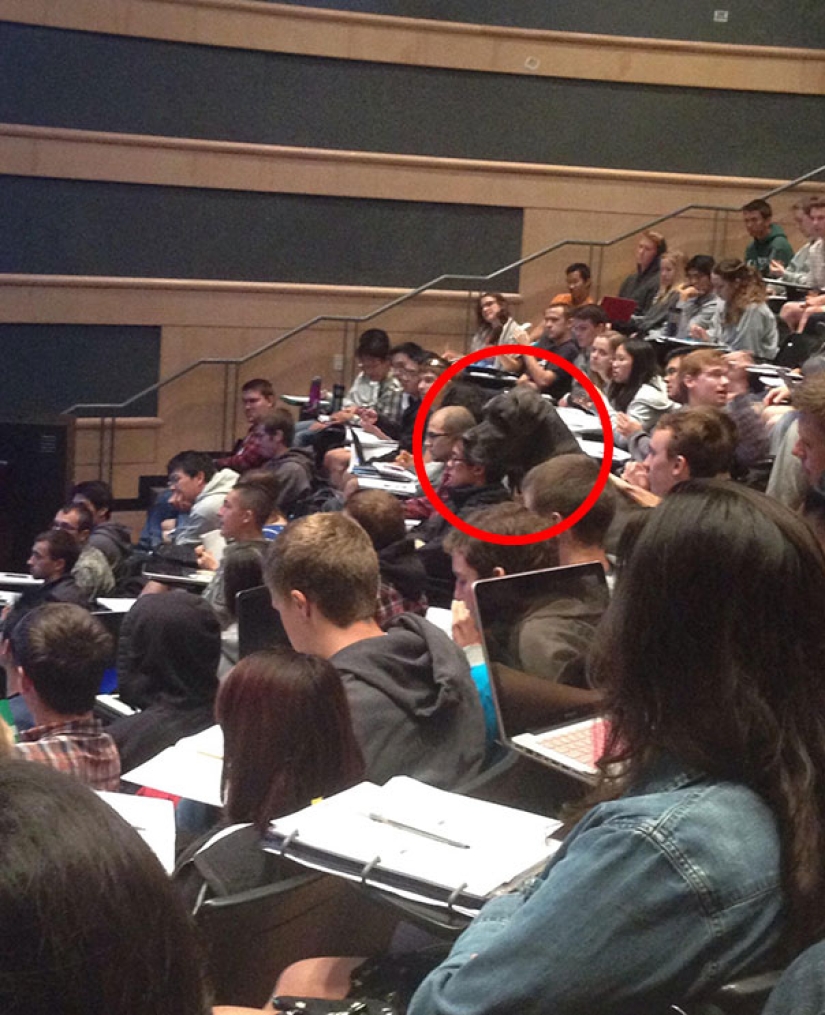 Fotos que te harán llorar si miras de cerca Fotos que te harán llorar si miras de cerca