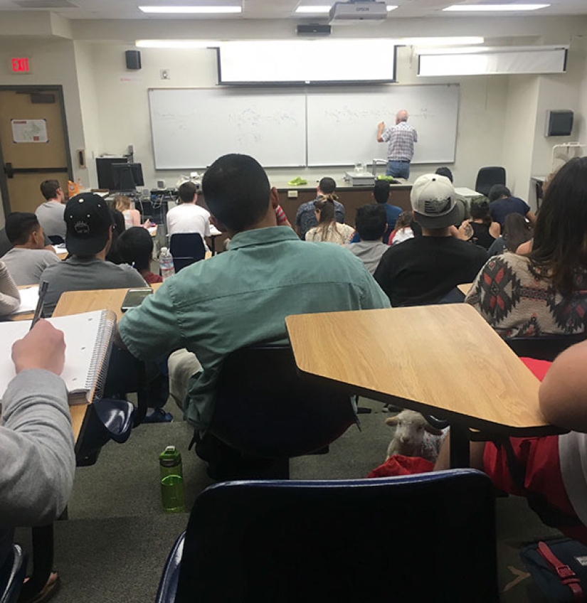 Fotos que te harán llorar si miras de cerca Fotos que te harán llorar si miras de cerca