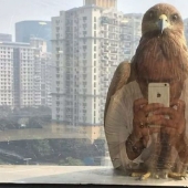 12 fotos tomadas en el momento más oportuno