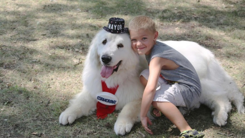 Four times re-elected dog mayor from the USA will leave his post for retirement