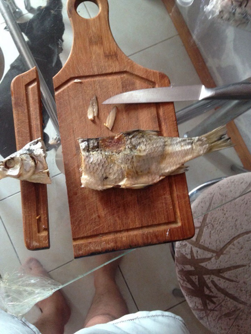 Fracasos épicos en la cocina que te harán creer en tus habilidades culinarias