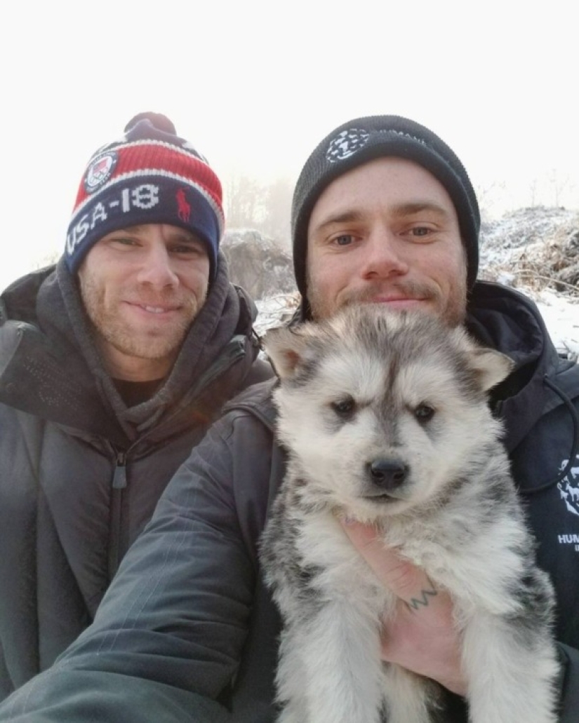 Freestyle skier Gus Kenworthy will bring a rescued dog from Pyeongchang instead of a medal Freestyle skier Gus Kenworthy will bring a rescued dog from Pyeongchang instead of a medal
