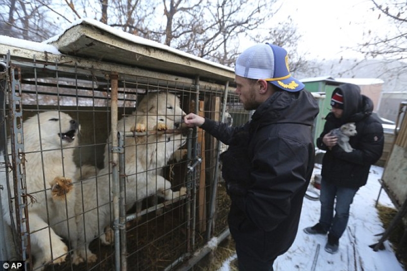 Freestyle skier Gus Kenworthy will bring a rescued dog from Pyeongchang instead of a medal Freestyle skier Gus Kenworthy will bring a rescued dog from Pyeongchang instead of a medal