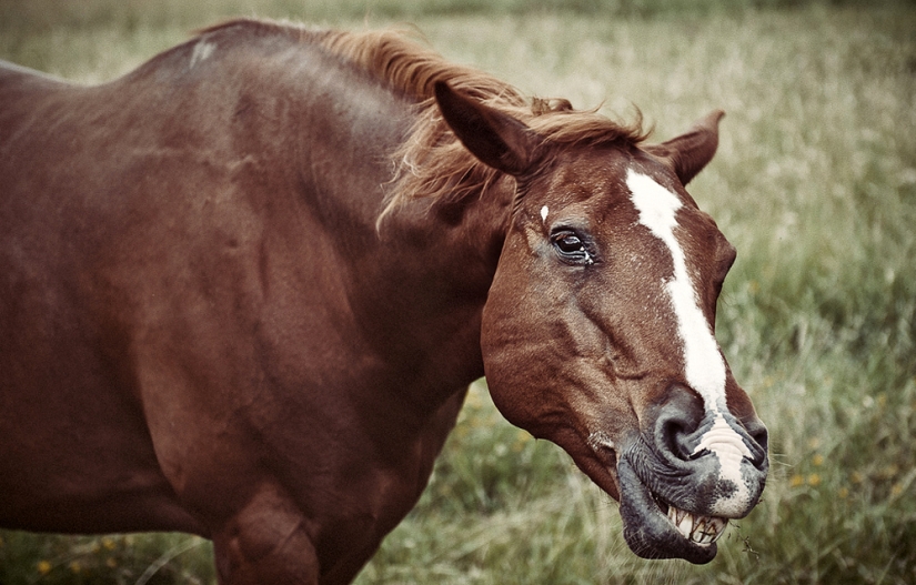 From April 1! 10 facts about smiling and laughing
