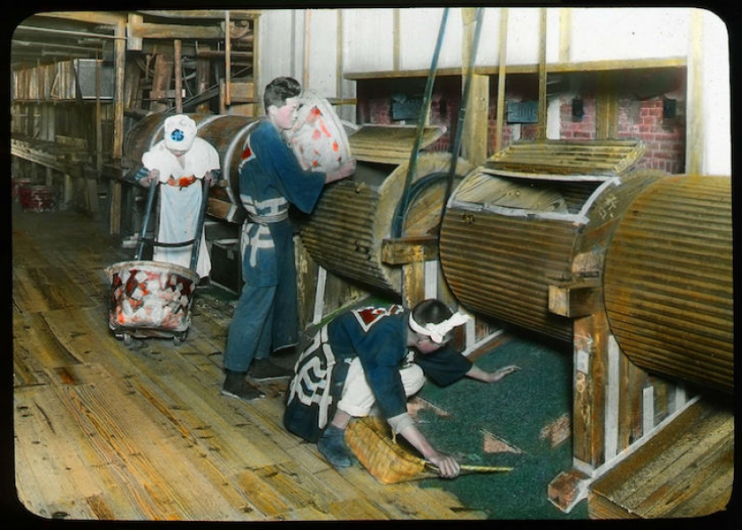 From the bush to the consumer: how tea production took place in Japan at the beginning of the XX century