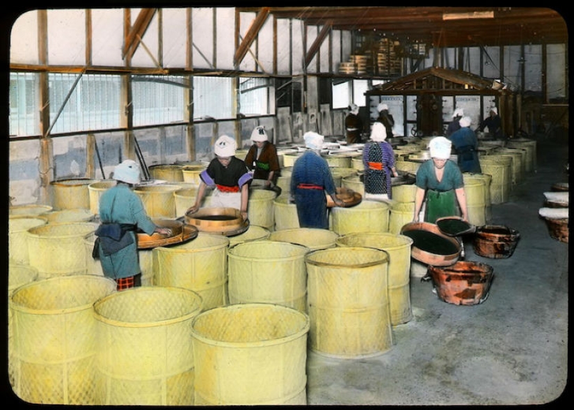 From the bush to the consumer: how tea production took place in Japan at the beginning of the XX century